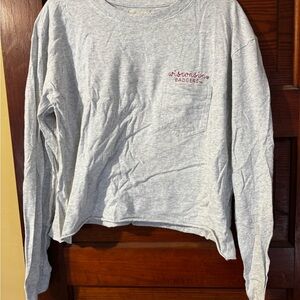 Gray Wisconsin Badgers Long Sleeve Shirt